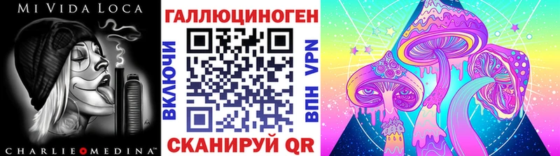 цены   Сковородино  Псилоцибиновые грибы Psilocybe 